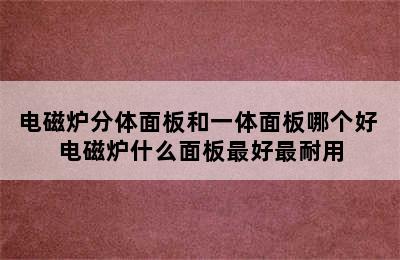 电磁炉分体面板和一体面板哪个好 电磁炉什么面板最好最耐用